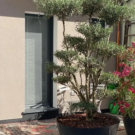 Squero 911 Appartament 4* チェゼナーティコ