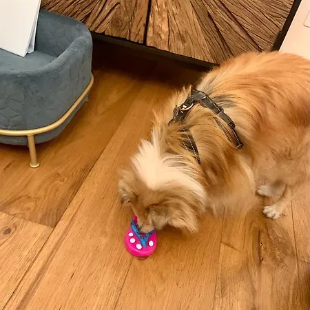 Squero 911 Appartament Отель типа 