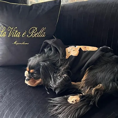 ベッド・アンド・ブレックファスト Squero 911 Appartament チェゼナーティコ