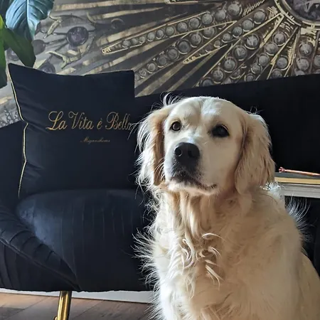 Squero 911 Appartament Отель типа 