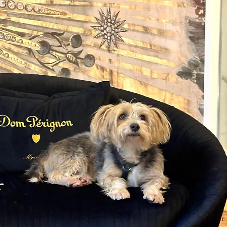 Squero 911 Appartament