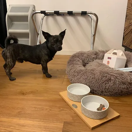 Squero 911 Appartament 4* チェゼナーティコ