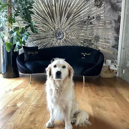 Squero 911 Appartament 4* チェゼナーティコ