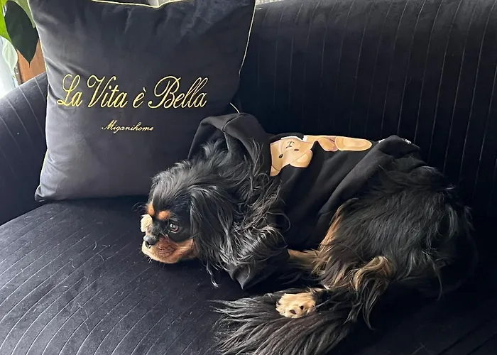 Panzió Squero 911 Appartament Cesenatico