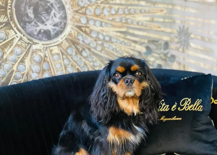 Squero 911 Appartament Cesenatico