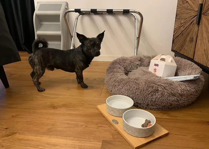 Squero 911 Appartament 4* Cesenatico