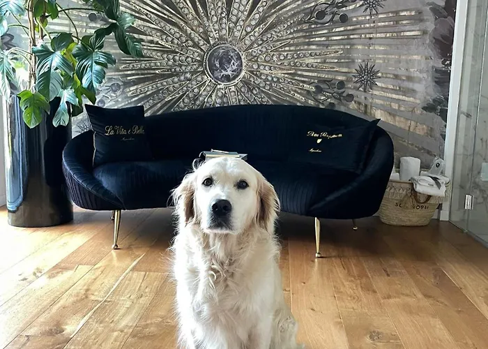 Squero 911 Appartament 4* Cesenatico