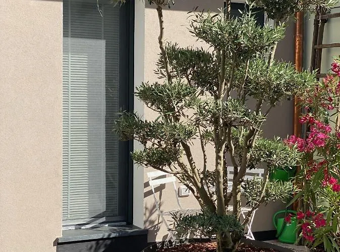 Squero 911 Appartament 4* Cesenatico