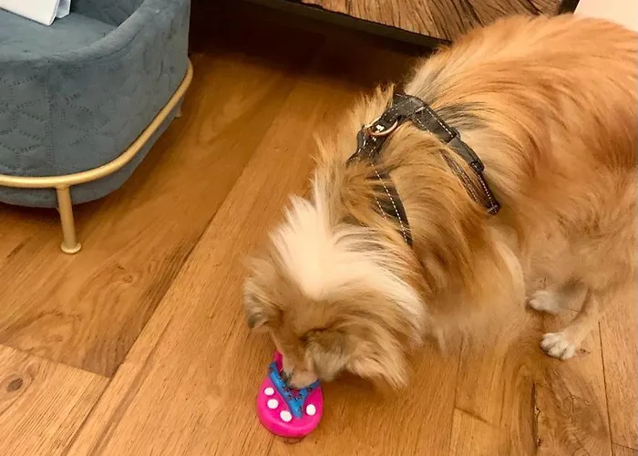 Squero 911 Appartament Bed and breakfast