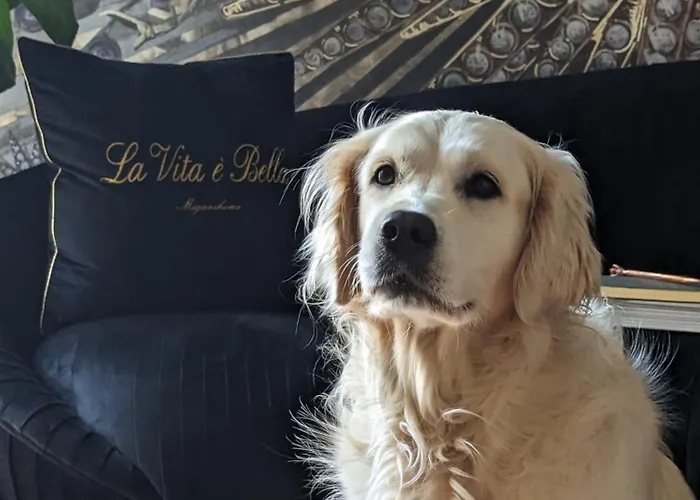 Squero 911 Appartament Bed and breakfast