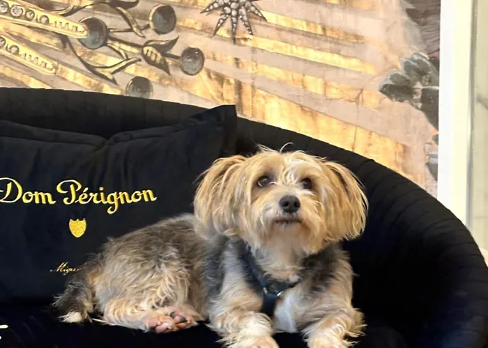 Squero 911 Appartament